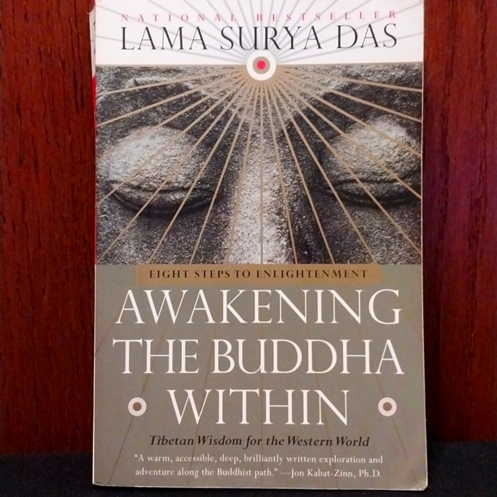 AWAKENING THE BUDDHA WITHIN BOOK